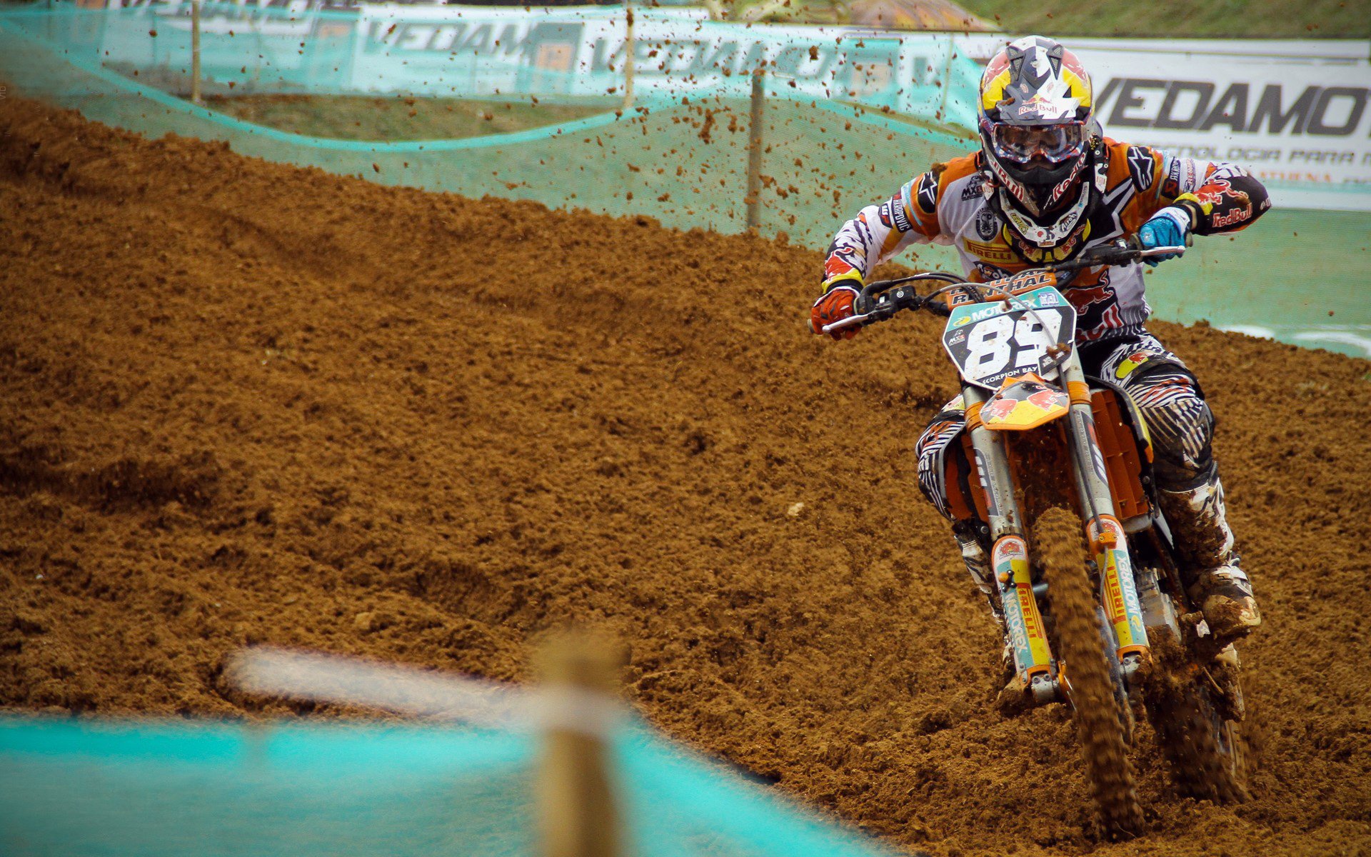 荷兰马术协会与澳大利亚马术协会签署人才交流协议，促进双向发展。